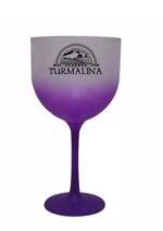 Taça de Gin de Acrílico Degrade 550ml