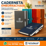 Caderneta Emborrachada