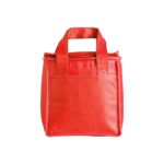 Bolsa Térmica de TNT 5 litros Personalizada