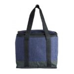 Bolsa térmica de poliéster 12li