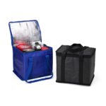 Bolsa térmica polietileno 12li