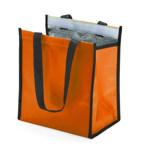 Bolsa Termica 6 Litros 17309d2 1697224829