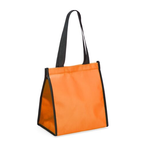 Bolsa Termica 6 Litros 17309d4 1697224830